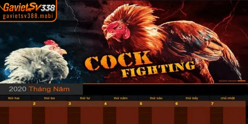 Đăng ký gavietsv388 cần những điều kiện như thế nào 