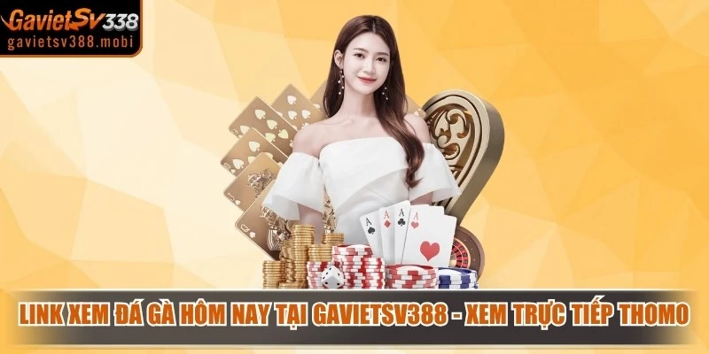 Link Xem Đá Gà Hôm Nay Tại Gavietsv388