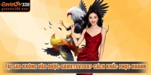 Tại Sao Không Vào Được Gavietsv388