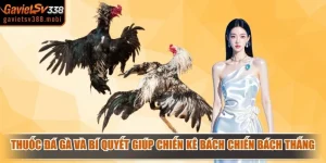 Thuốc Đá Gà