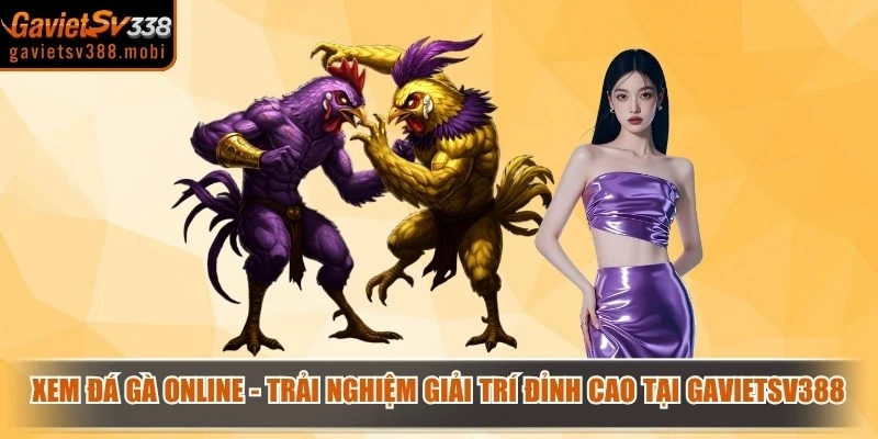 Xem đá gà online