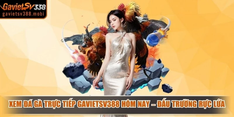 Xem Đá Gà Trực Tiếp Gavietsv388 Hôm Nay